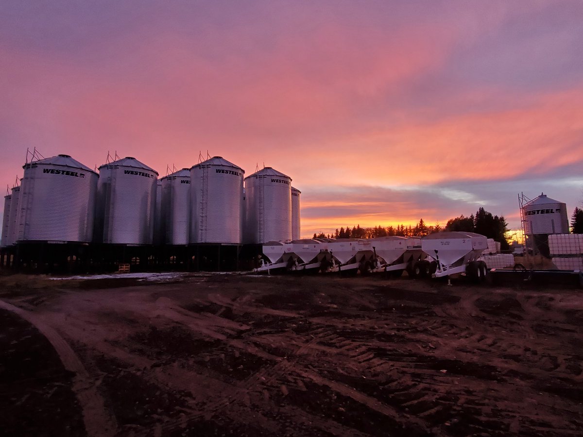 msjamiescott's tweet photo. Just a little corner of the @NeerlandiaCoop yard ready for next season. @AgGrowthIntl #ShowUsYourAGI @AGIHOPPY780 https://t.co/qeuVFQenNU