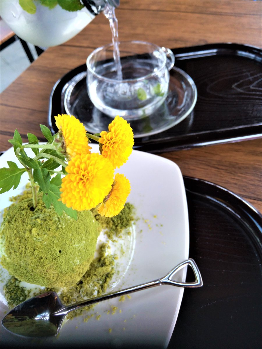 栃木県観光物産協会 Ar Twitter 鹿沼市花木センター内にある Bonsai Cafe 盆栽にしか見えないこちら なんと 苔玉スイーツ なんです サクサクホロホロなのに抹茶とバニラが濃厚 様々な食感が楽しめる新感覚スイーツです もちろん園内では本物の盆栽やお花を 栃木県観光物産協会 Ar Twitter 鹿沼市花木センター内にある Bonsai Cafe 盆栽にしか見えないこちら なんと 苔玉スイーツ なんです サクサクホロホロなのに抹茶とバニラが濃厚 様々な食感が楽しめる新感覚スイーツです もちろん園内では本物の盆栽やお花を