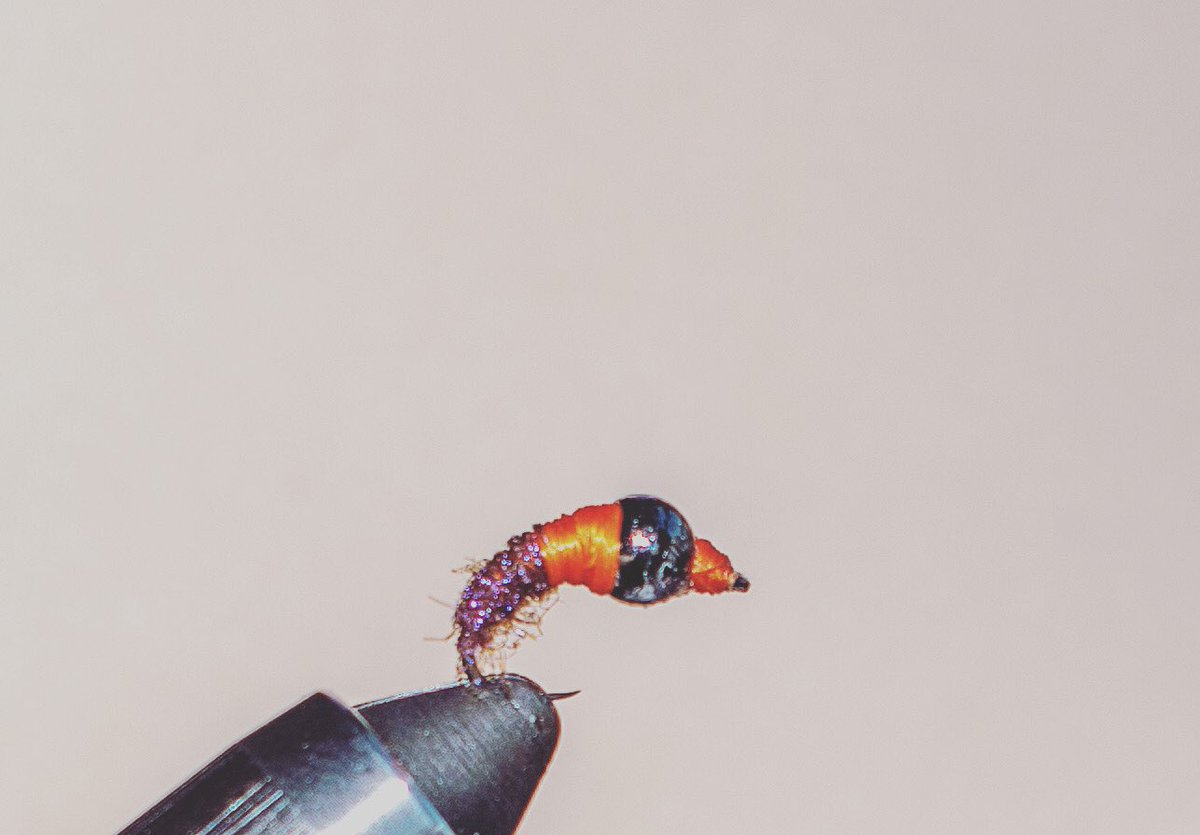 jaymsramirez's tweet photo. Nymphs today...
#tenkara #flyfishing #flytie https://t.co/HoodVJfjmz