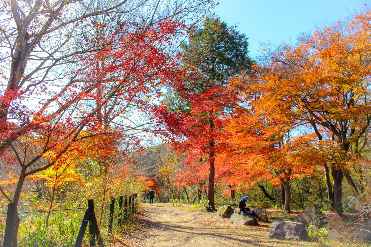 嵐山渓谷 嵐山渓谷