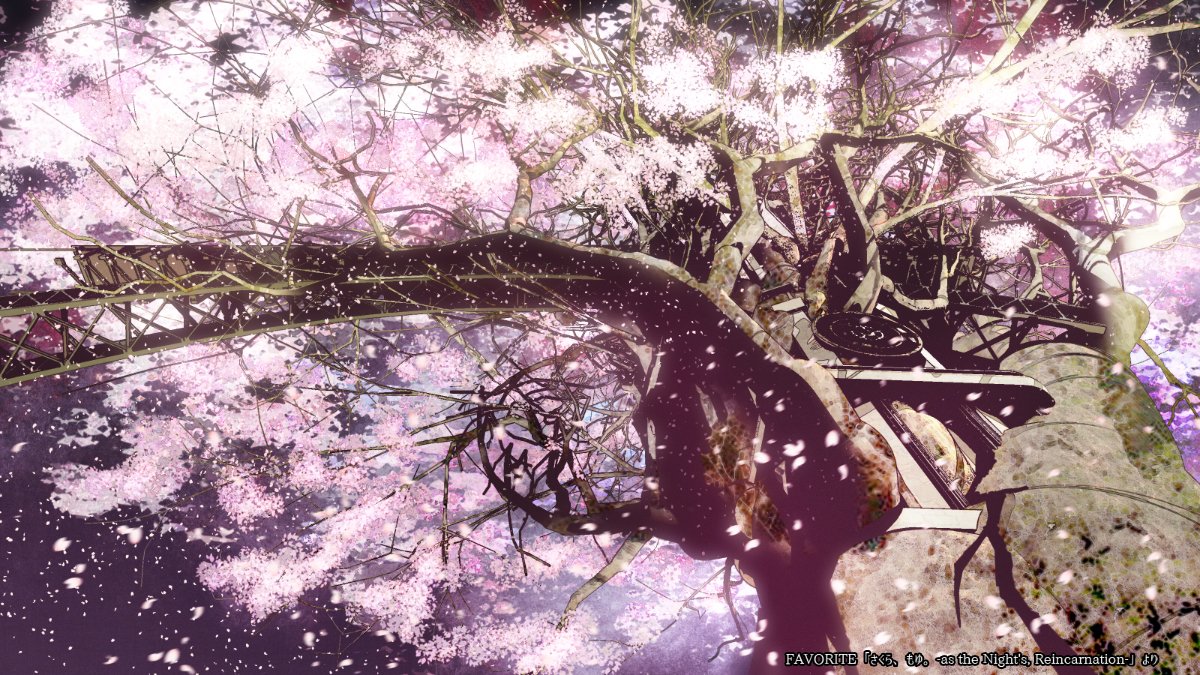 cherry blossoms tree no humans scenery watermark outdoors petals general  illustration images