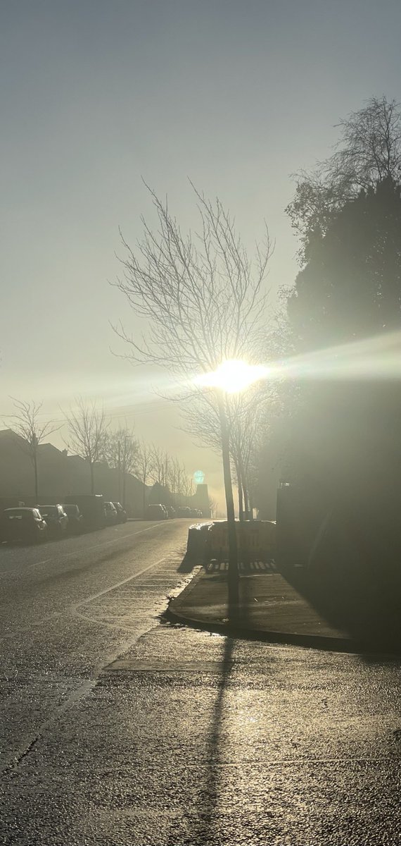 JAMES TOLCHER OFFICIAL tweet media