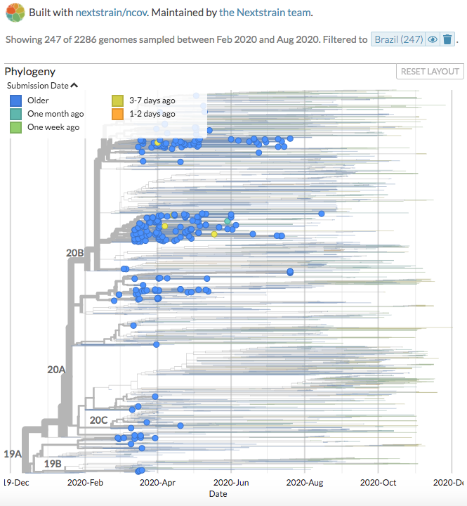 nextstrain's tweet photo. @GISAID @IGIBSocial @CSIR_IND @KAUST_News @kaust_corelabs New sequences from Brazil (88), Madagascar (3), and Australia (1) can be seen on https://t.co/0R24iPTTpR, https://t.co/M9mn88g9Zb, and https://t.co/ToVoJO0Gkb.
(Thanks to @imtspusp, @pasteurMG, #PathWest Laboratory Medicine, @WAHealth)
2/4 https://t.co/524ctBOvYv