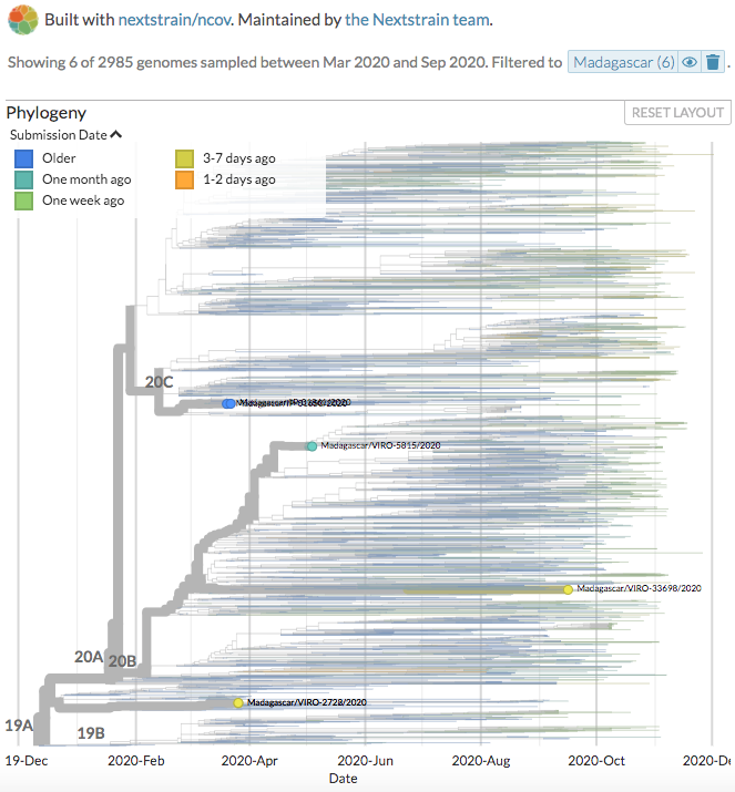 nextstrain's tweet photo. @GISAID @IGIBSocial @CSIR_IND @KAUST_News @kaust_corelabs New sequences from Brazil (88), Madagascar (3), and Australia (1) can be seen on https://t.co/0R24iPTTpR, https://t.co/M9mn88g9Zb, and https://t.co/ToVoJO0Gkb.
(Thanks to @imtspusp, @pasteurMG, #PathWest Laboratory Medicine, @WAHealth)
2/4 https://t.co/524ctBOvYv