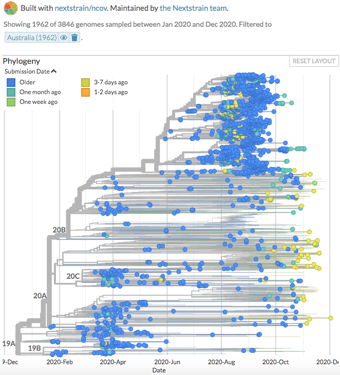 nextstrain's tweet photo. @GISAID @IGIBSocial @CSIR_IND @KAUST_News @kaust_corelabs New sequences from Brazil (88), Madagascar (3), and Australia (1) can be seen on https://t.co/0R24iPTTpR, https://t.co/M9mn88g9Zb, and https://t.co/ToVoJO0Gkb.
(Thanks to @imtspusp, @pasteurMG, #PathWest Laboratory Medicine, @WAHealth)
2/4 https://t.co/524ctBOvYv
