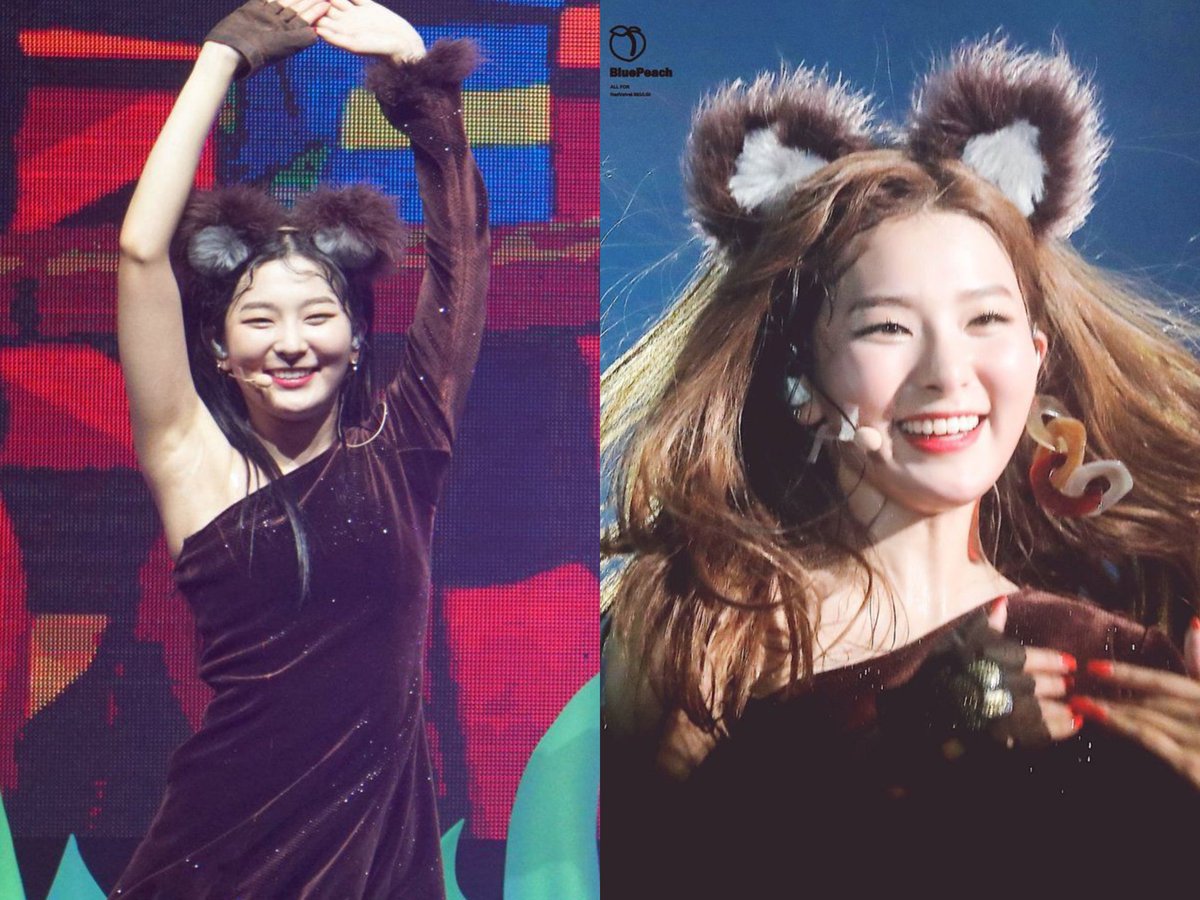 KSEULGIFEED's tweet photo. if seulgi is not a bear.. then why https://t.co/wN4Wx4wd84