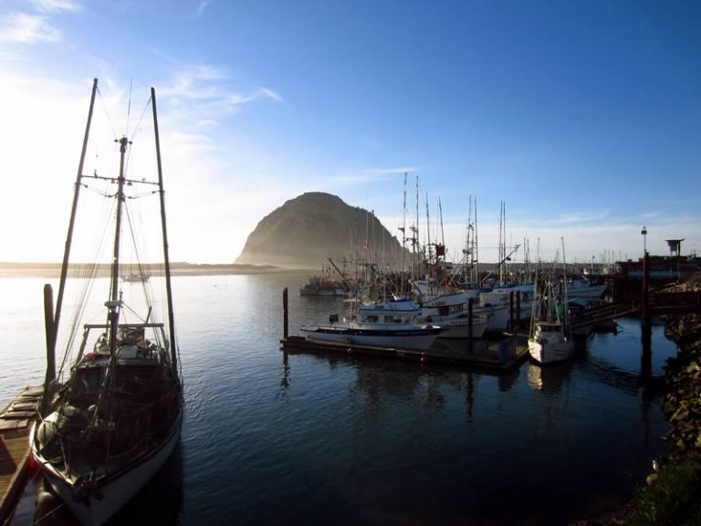 OPC_California's tweet photo. OPC is hiring! We're looking for an Environmental Scientist to help advance strategic priorities related to sustainable fisheries and aquaculture, resilient fishing communities, and thriving fish and wildlife populations in CA. Apply by December 28:
https://t.co/YTVCUhCQkI https://t.co/1F79OuA2vc