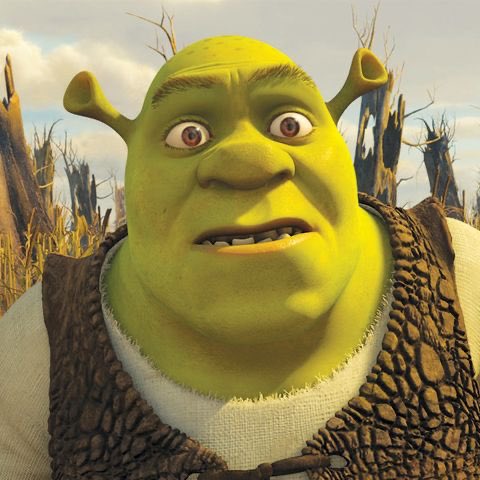 shrek•neutral •just wishes donkey would shut up about it•literally couldn’t care less