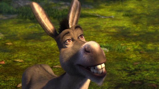donkey•twarrie asf•believes in every stunt•thought hendall were lowkey cute•literally never shuts up