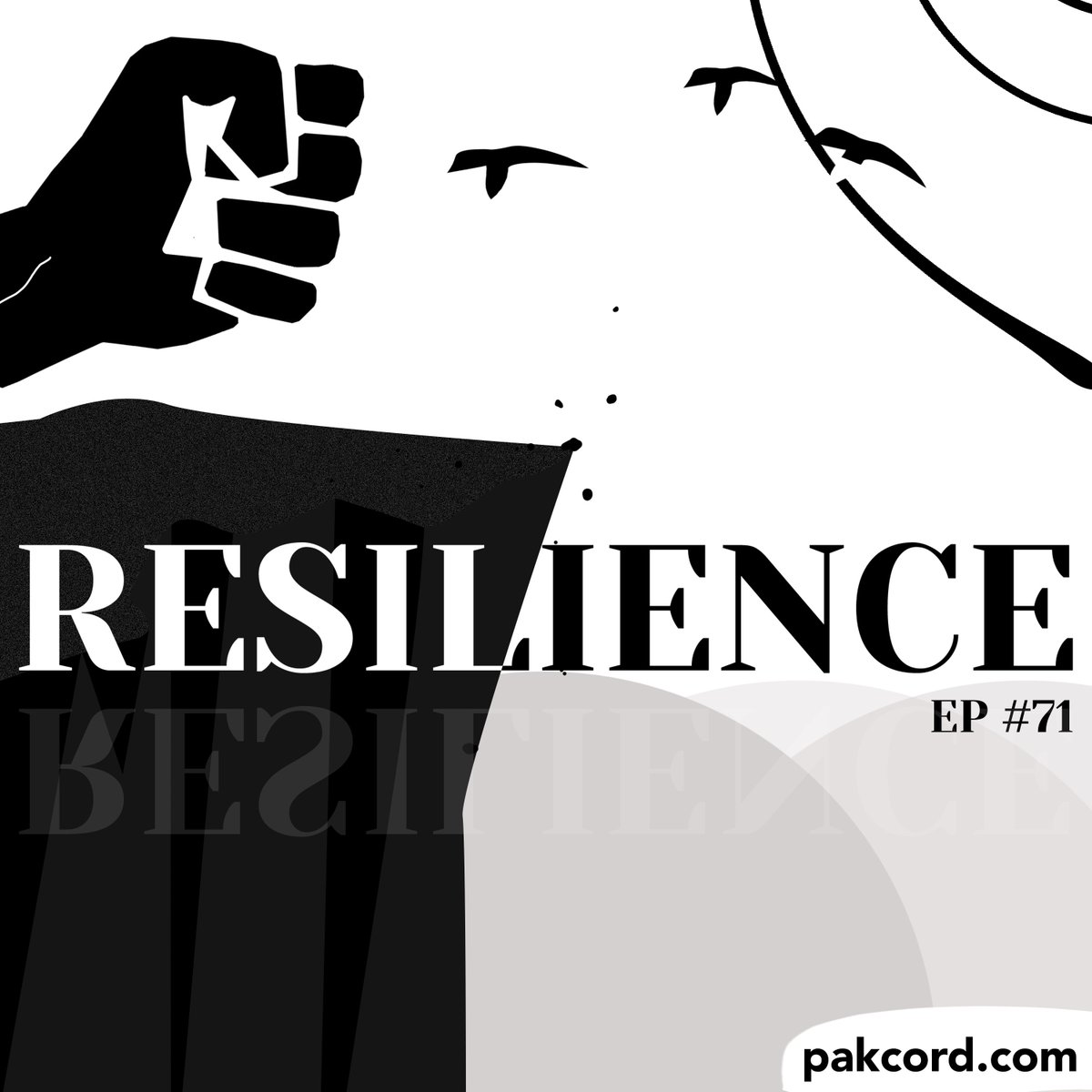 pakcord's tweet photo. In our latest episode, let's talk about resilience - the ability to recover quickly from difficulty, a much needed trait for our youth today. We discuss the most common challenges faced by Pakistani youngsters. A very thought provoking discussion! https://t.co/5XYaURNnwS https://t.co/dHh9dmZod0