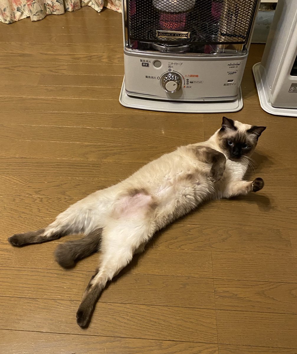 [圖]