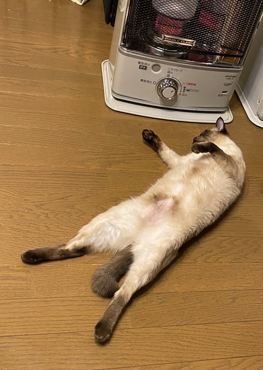 [圖]