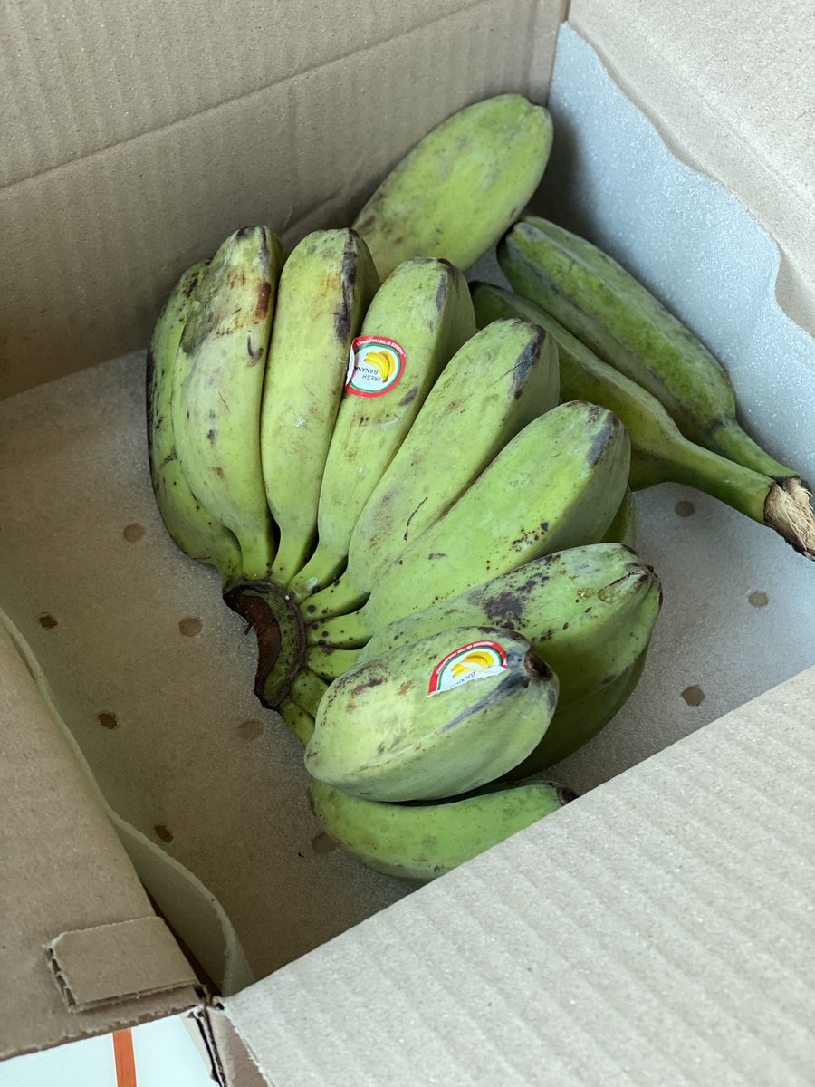 abrowncouple's tweet photo. For the #platano lovers in #korea. We finally found #plantain 
It’s called Saba banana - a type of Philipino plantain sold in Korea. Much smaller than American plantain. Has the same taste &amp; texture. Made #mangú and #maduros 😋

#ambiguouslybrowncouple #abcinkorea🇰🇷 #homecooking https://t.co/I7aFnB9TiQ