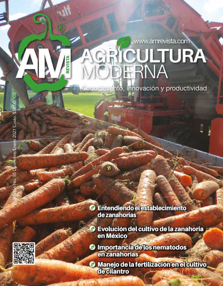 SyagroSa2017's tweet photo. La edición diciembre - enero de la revista @am_moderna trae una amplia y muy variada información sobre "Zanahoria y otras apiáceas". @Syagro de México está presente con el artículo "Evolución del cultivo de la zanahoria en México" de Yosef Spinoza. https://t.co/6n7c6R3WHZ