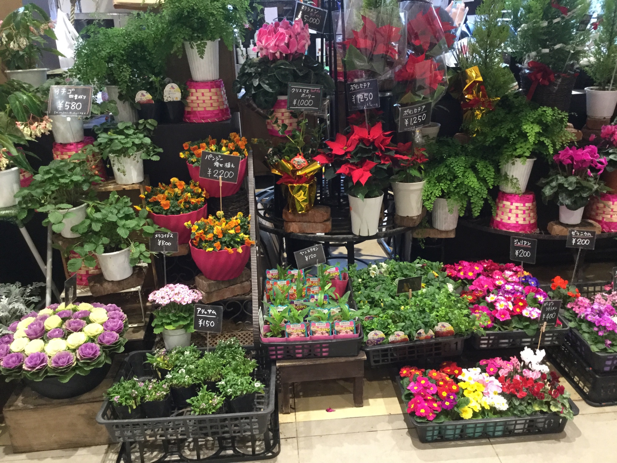 サミットストア東中野店 サミットストア東中野店にはお花屋さんのsinsei Flower かわいいお花がいっぱい クリーニングのスワローチェーンがありますよ 営業時間はどちらも10 00 21 00です ご利用お待ちしてます サミットストア 東中野 お花屋
