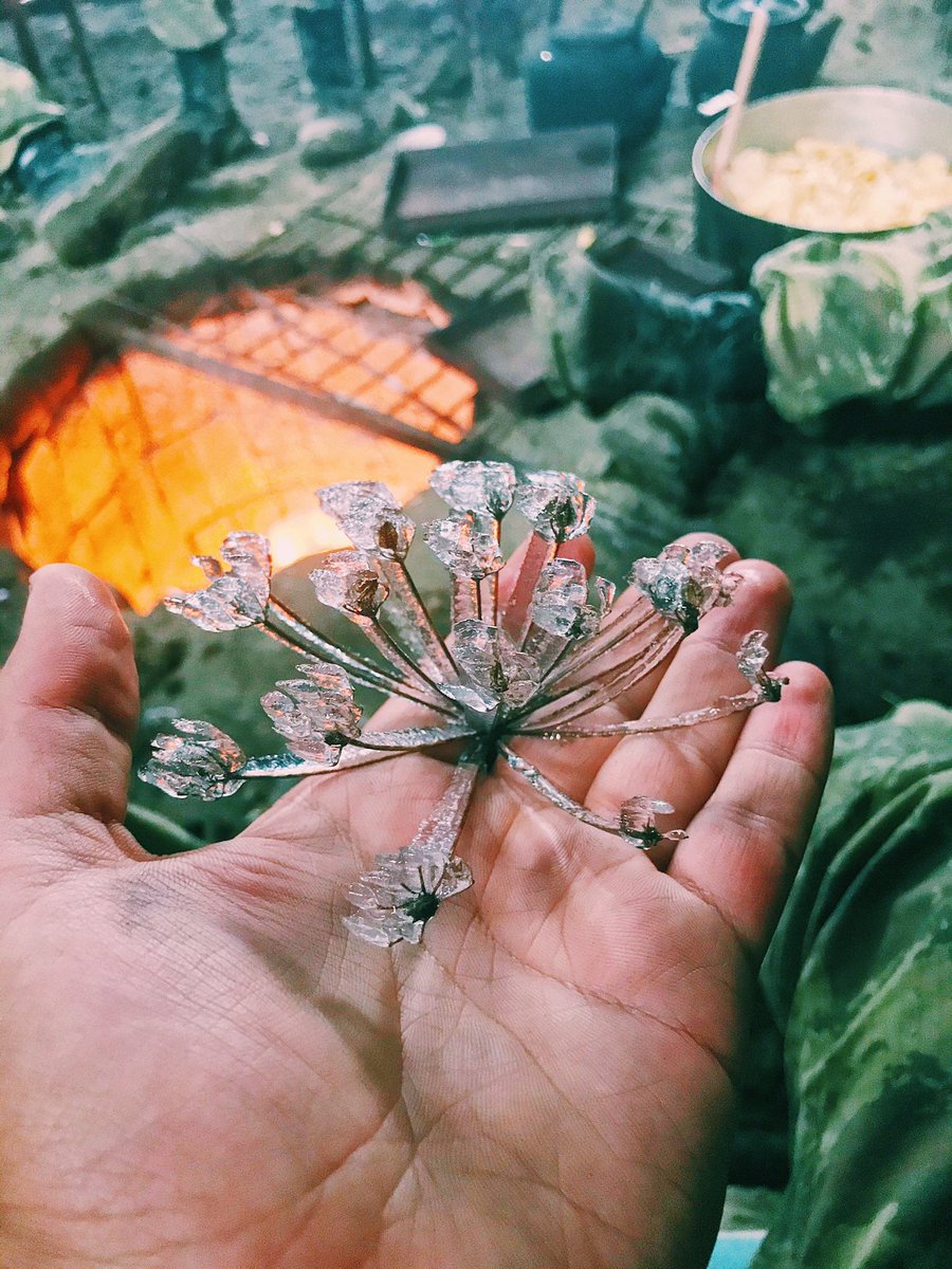 RustamTurkan's tweet photo. Nature, love, hope, friendship, support, dreams, victory, a warm meal, calling back memories from home all these are just in one image.  Isn't it breathtaking? The image illustrates the purity of a soul, which has not been tarnished by war and crimes
#Azerbaijan #Karabakh https://t.co/W9aEIxlIMG