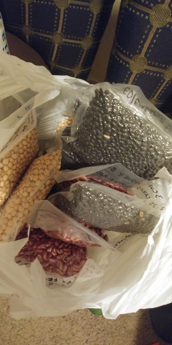 ¡Otra bolsa de frijoles entregada a nuestra comunidad!