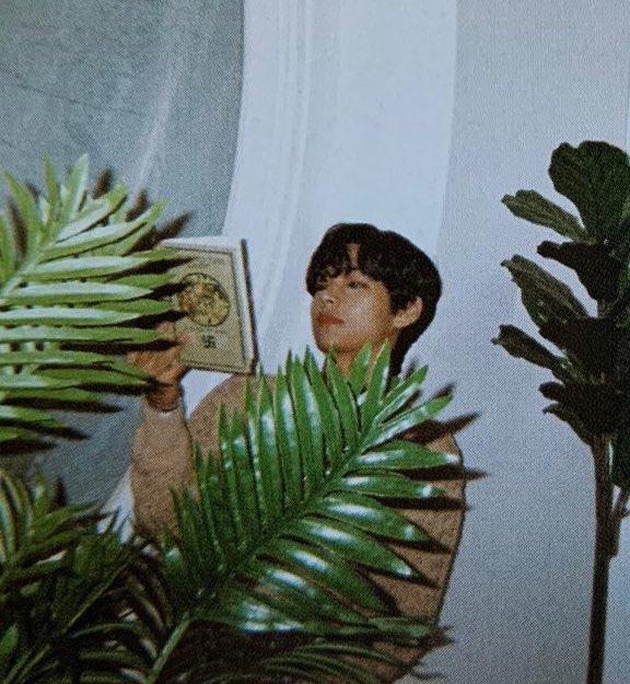 vopied's tweet image. 