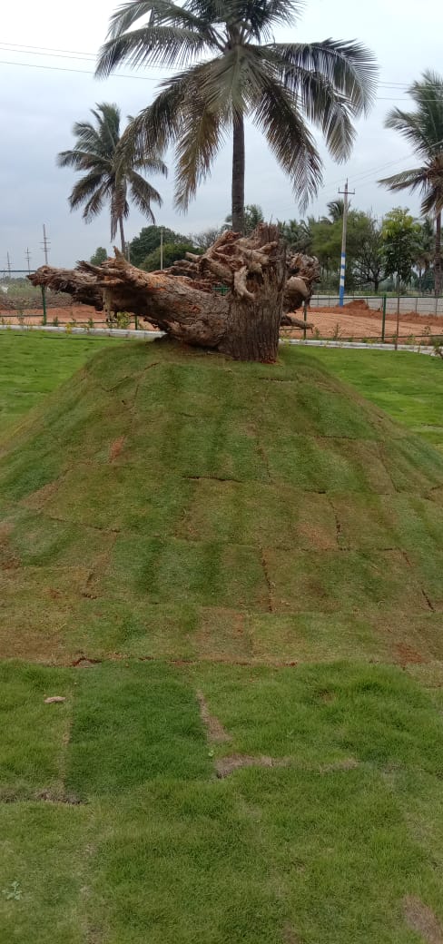 YeshDevelopers's tweet image. Buy Plots and Villas at affordable price in Mysore in Yesh Serenity.

Bank Loan available upto 70%.
Visit yeshdevelopers.com for more info or free site visit now.

#mysore #plots #villas #bangalore #yeshdevelopers #hubli