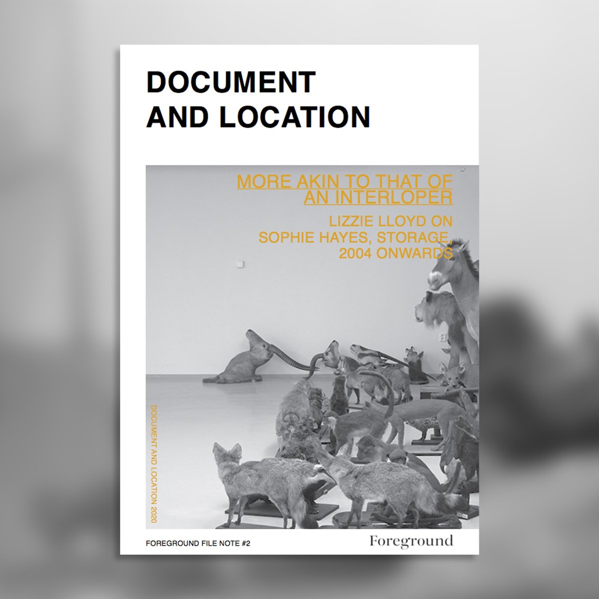 ForegroundFrome's tweet photo. Have you read our newly published text by Lizzie Lloyd
 on Storage, #SophieHayes' project that explores the secret life and unintentional narratives of non-public spaces of major museums across Europe? You can read and download the text for free now via https://t.co/g4npryH6Ot https://t.co/zTXKOxKHqg