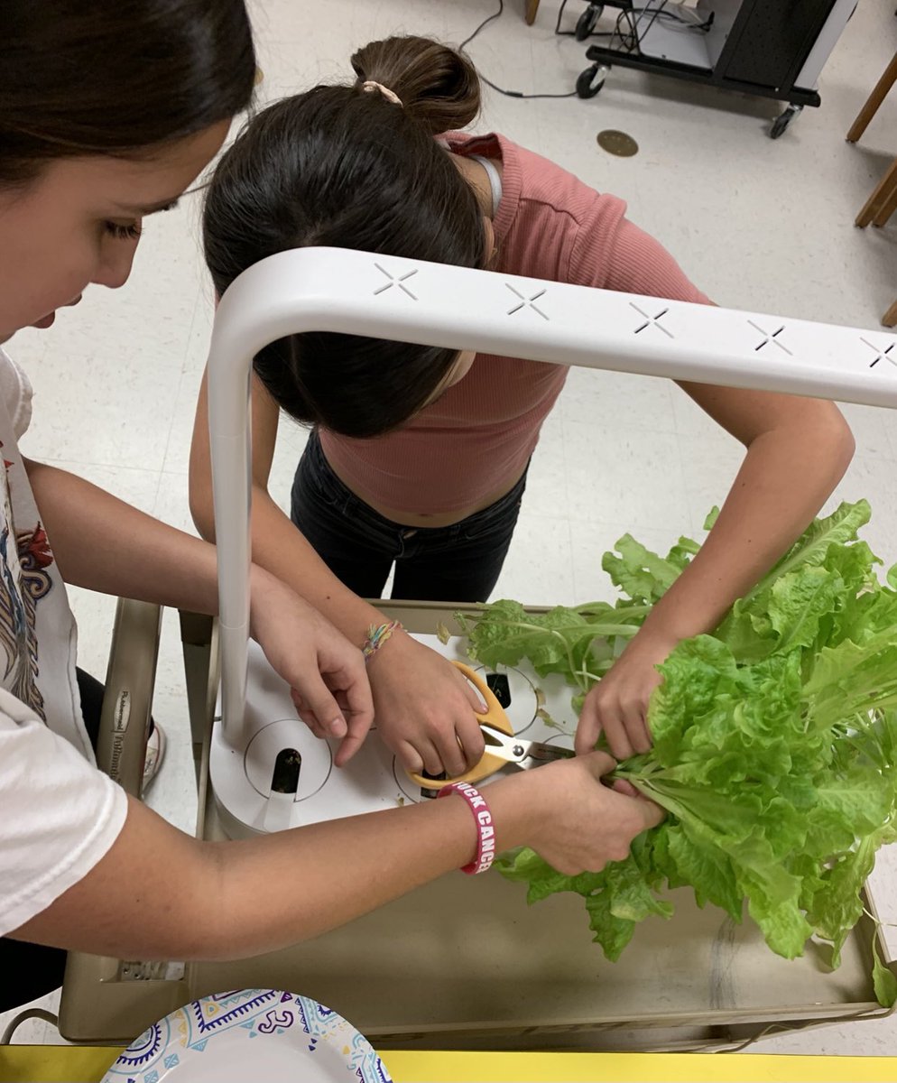 dehartSTEM's tweet photo. And lettuce (pun!) not forget our farmers. They grew the food, in house, that was, once the harvest was ready, used to garnish the classes’ meal! https://t.co/0I8WErg6Al