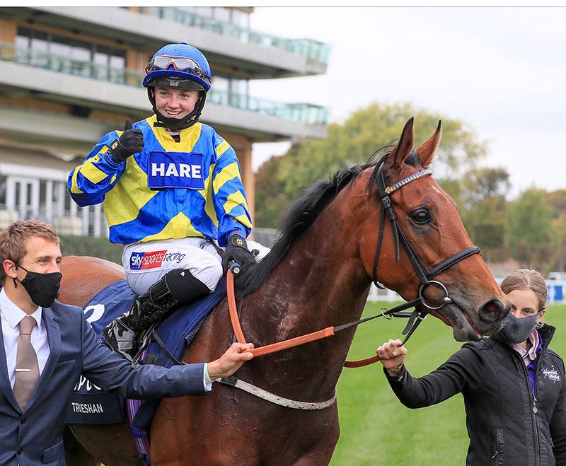 HKJC_Racing's tweet image. From the Bridge to the Valley – the rise of Tom and Hollie. #IJC #HKracing 

@LynchySSR writes. 

Read here 👉 campaigns.hkjc.com/hkir/en/expert…