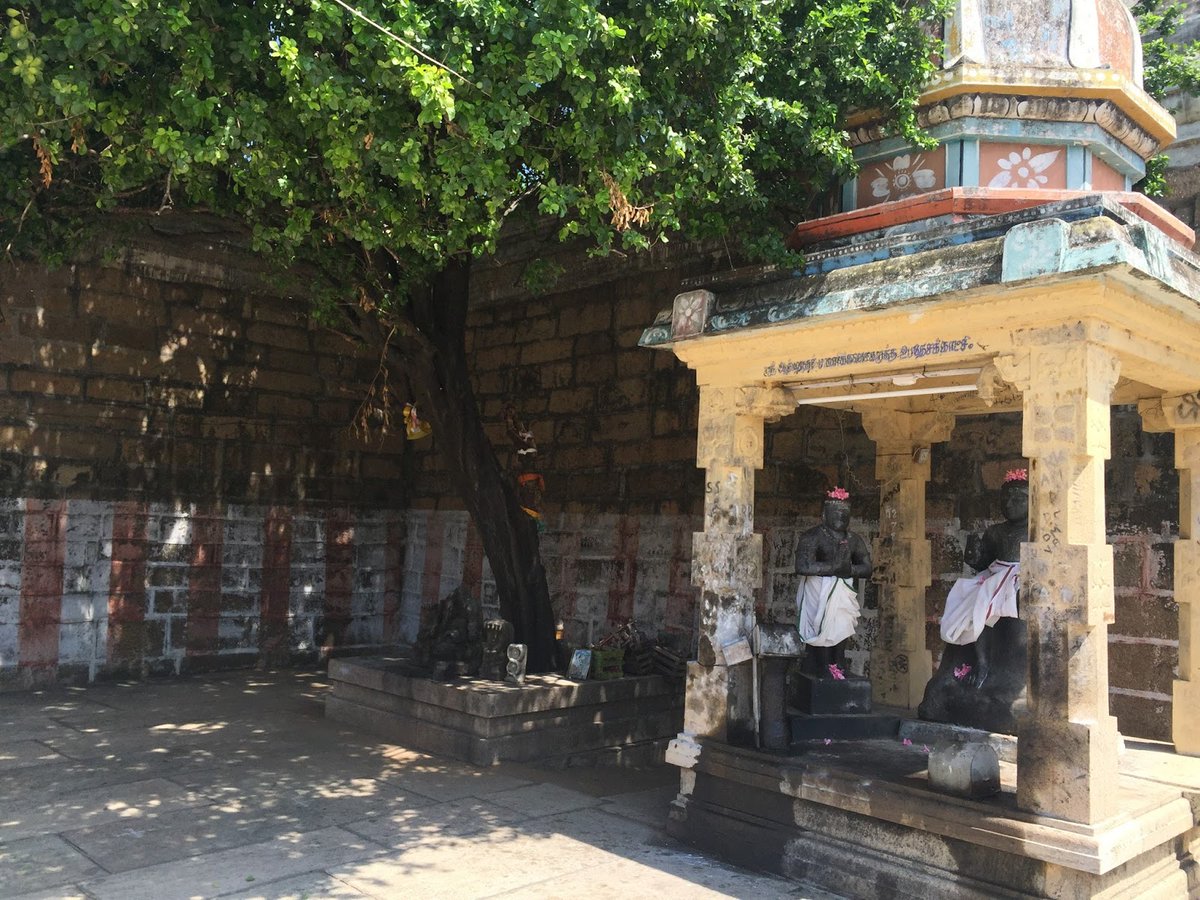 The temple was built by saint Manikkavasagar in 9th ce. Further additions took place over time by Pandya and Nayak kings amidst others. There is a 4 pillared mandapam behind the sanctum where Atmanathar is seen seated giving deeksha to saint Manikkavasagar.(7)