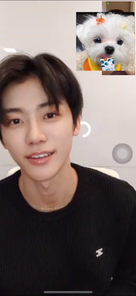 ㅂㅌ🐈 REST tweet media