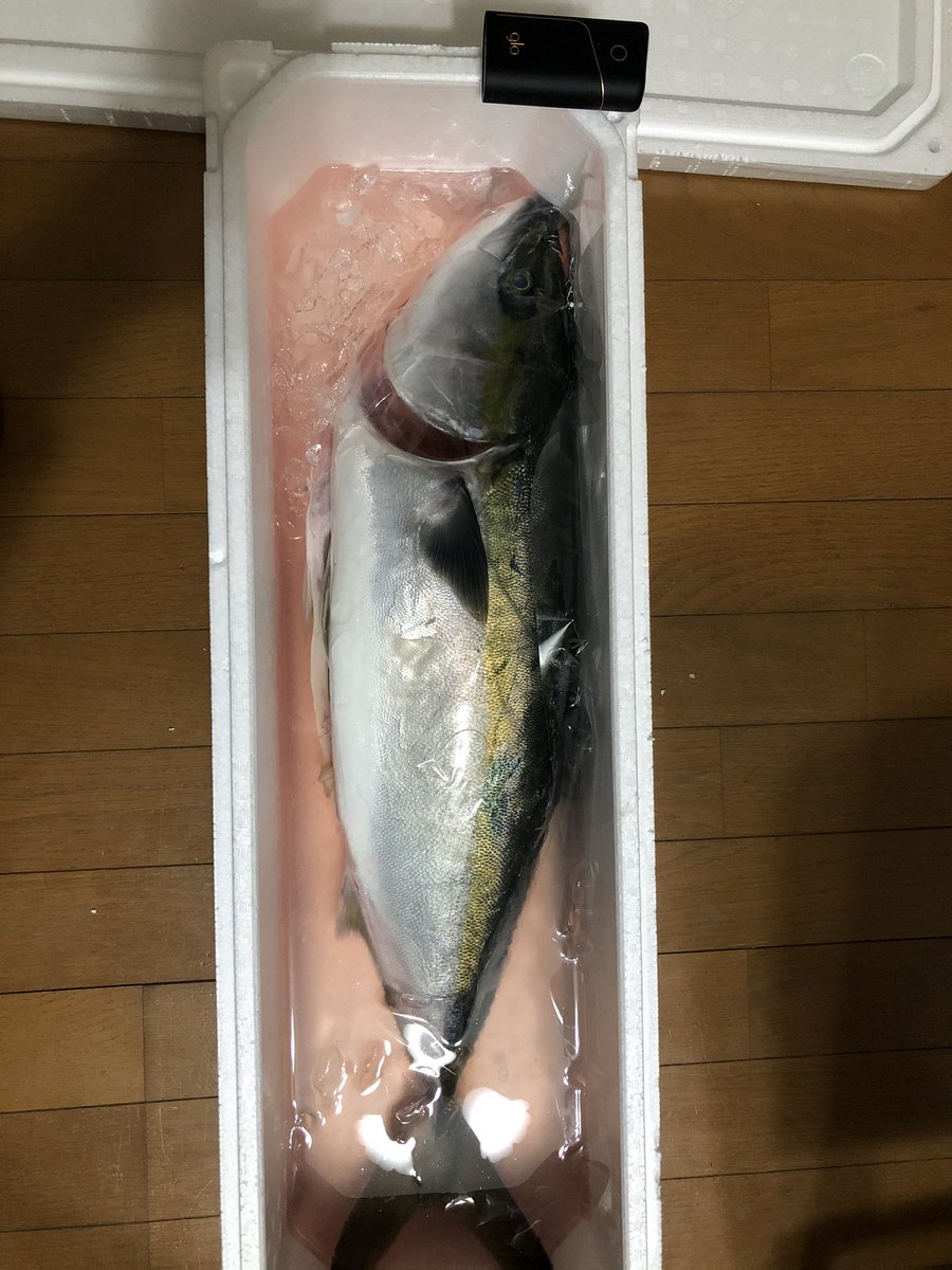 28万匹余ってた高知県のブリ 全国のご家庭に届き始めてるぞおおおぉぉぉ Togetter 28万匹余ってた高知県のブリ 全国のご家庭に届き始めてるぞおおおぉぉぉ Togetter