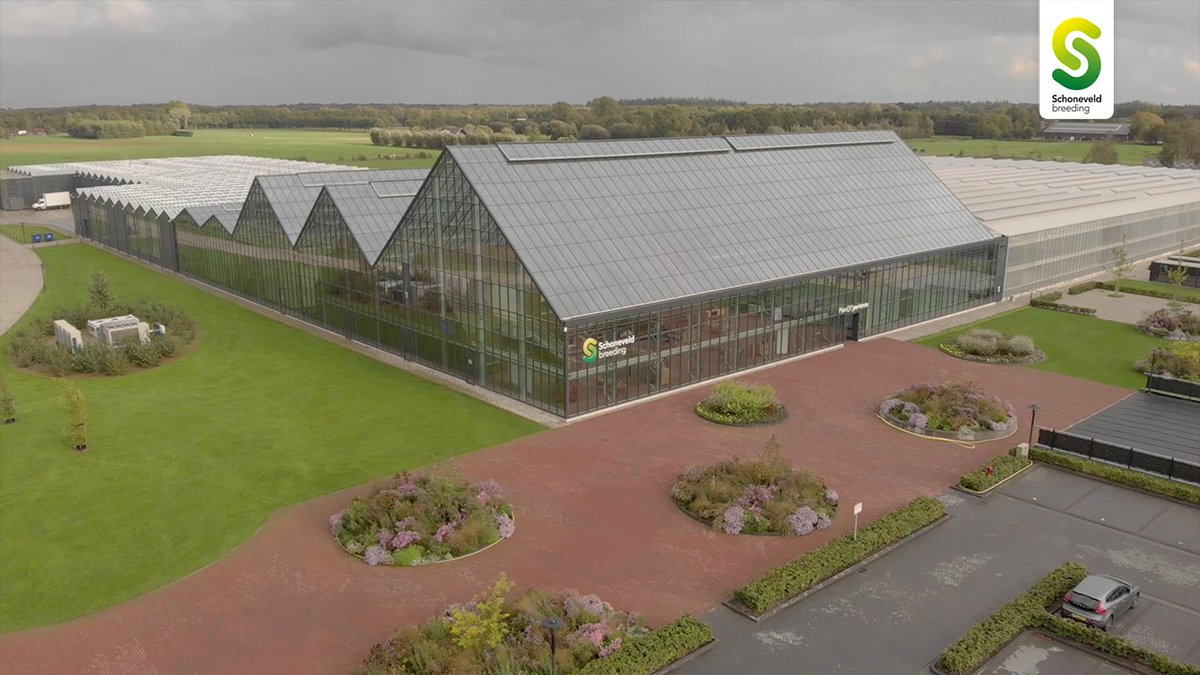 Help jij ons mee om de Gelderse prijs voor ruimtelijke kwaliteit te winnen?  Stemmen kan nog tot 14 december! 
gelderland.nl/gprk2020-stemm… (projectnummer 18)
#GPRK2020 #morevalue #schoneveldbreeding
schoneveld-breeding.com/plantxperience…