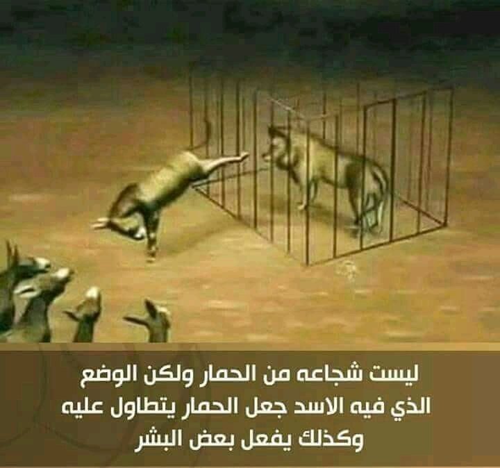 حسين عطالله المحامي (@husseinmosa79g1) on Twitter photo 