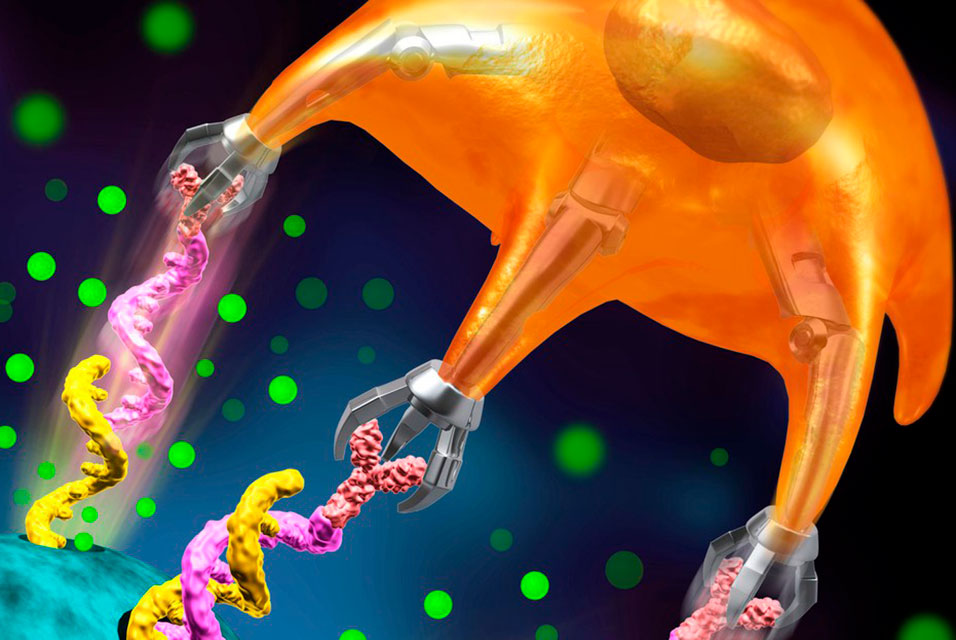 artdaily's tweet photo. ArtDaily recommends:
New cancer-fighting method leverages the mechanical force of T cells #cancer #method #mechanicalforce #Tcells #science #newspaper
Read more about this here: https://t.co/0Mwu45WNDI https://t.co/8U7PucBlRK