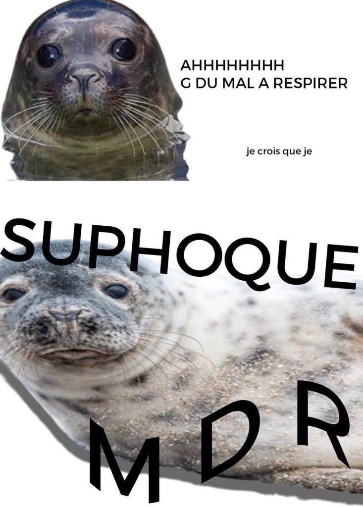 Angle Droit tweet media