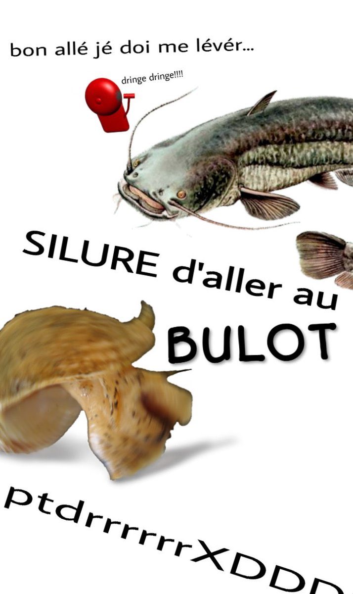 Angle Droit tweet media