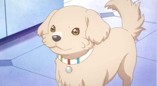 The 15 Greatest Anime Dogs of All Time