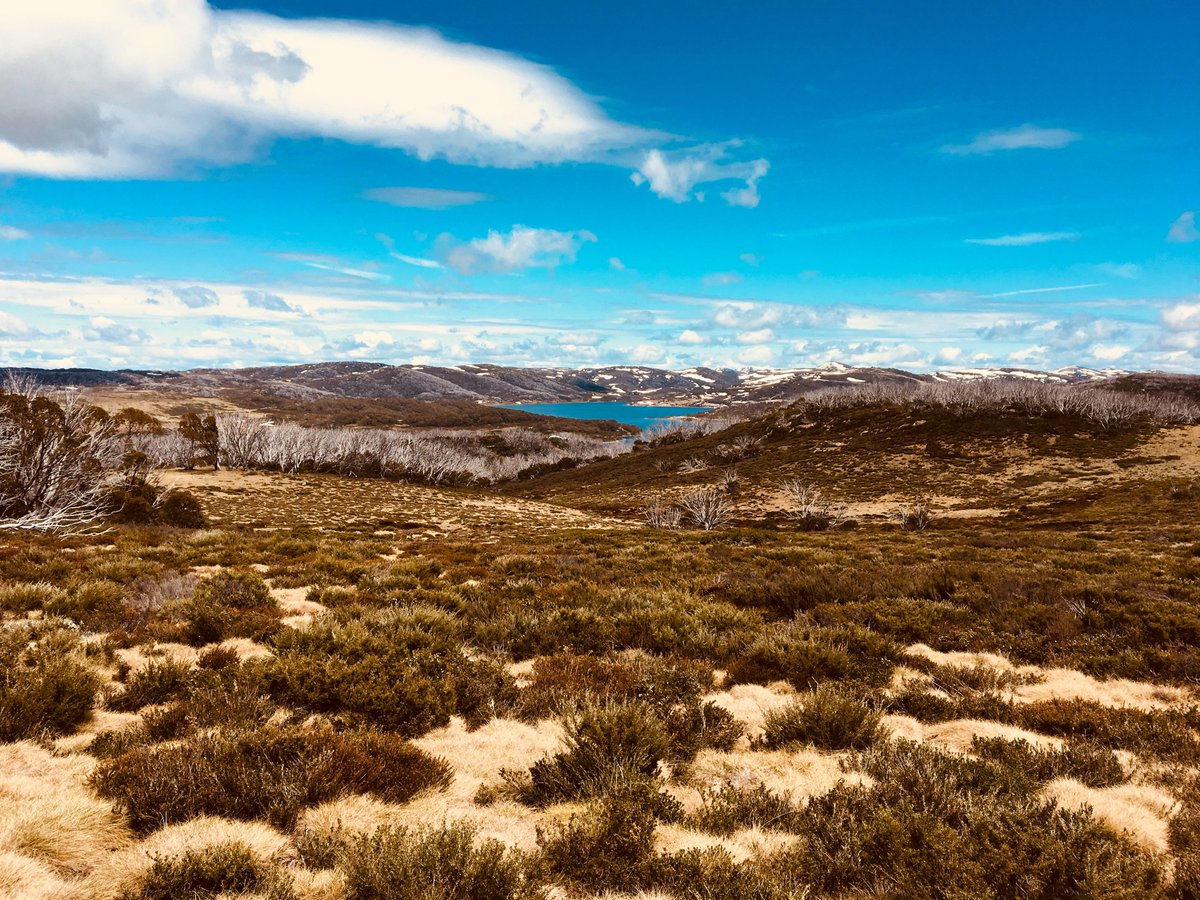 TriVictoria's tweet image. i4 Coaching are running a training camp in the crown of the Victorian Alps!

📍 Falls Creek | @fallscreek   
📆 Jan 4-10, 2021
🏃 Intermediate to Advanced levels
𝙇𝙀𝘼𝙍𝙉 𝙈𝙊𝙍𝙀: bit.ly/2VRVxmw

#fallscreek #triathlon #training #coaching #trivic