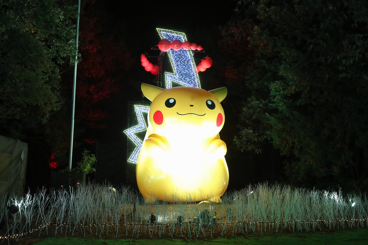 ピカチュウの光の森】 光り輝く草むらの中にはたくさんのピカチュウが