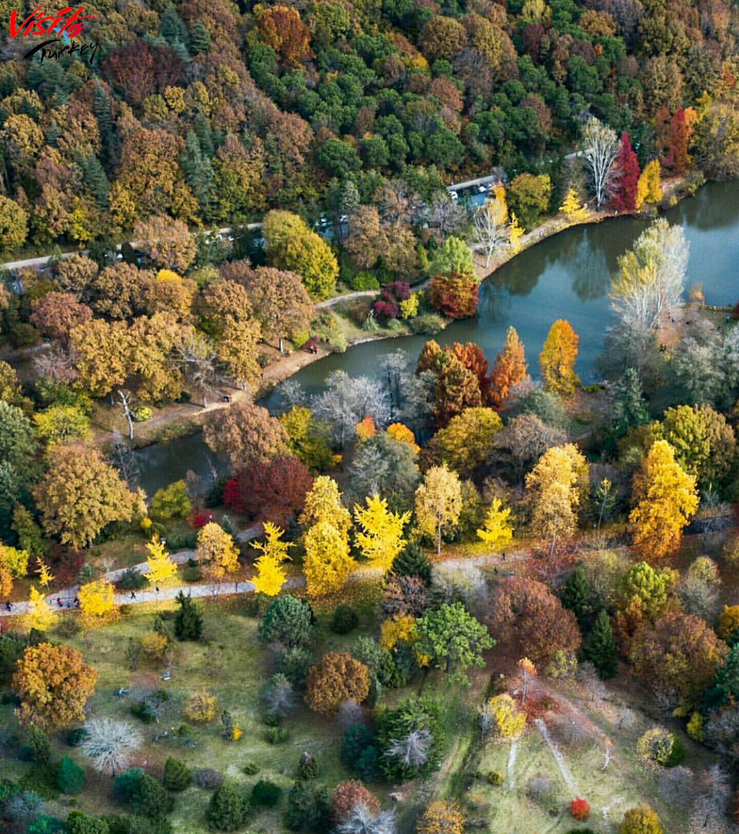 Good morning World...
GÜNAYDIN TÜRKİYEM...

#Turkey #İstanbul #BelgradForest #BelgradOrmanı