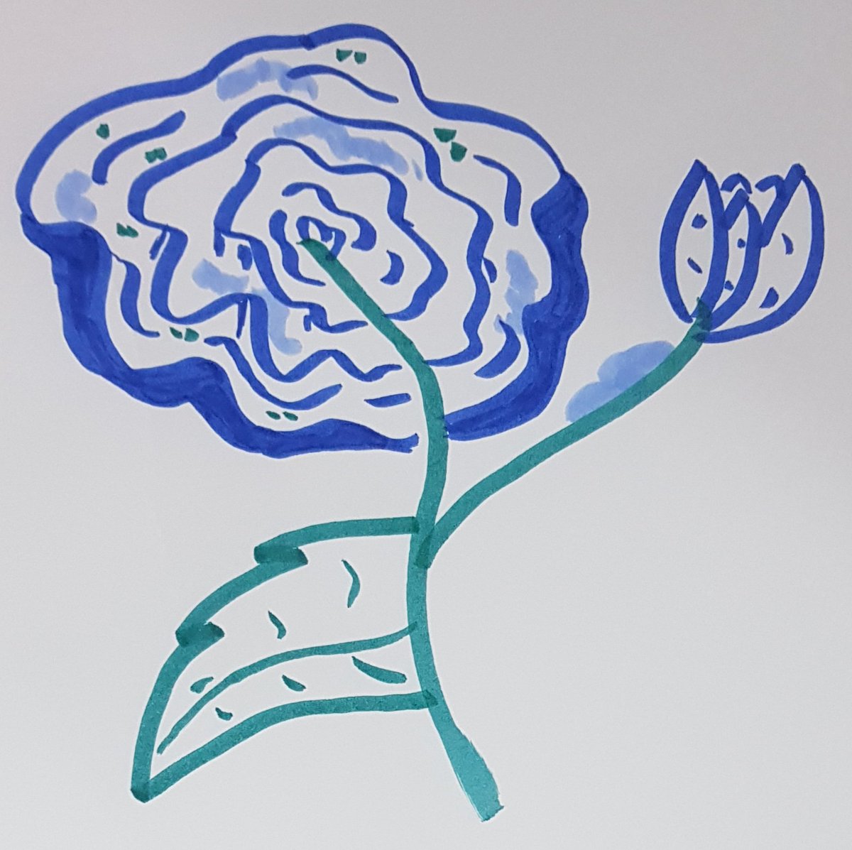 ManManda12's tweet photo. Blue flower in the snow ❄

#blue #BlueArt #Bluehues #hues #art #traditional #traditionalart #drawing #markers #ArtistOnTwitter #artshare #artist #flower #blueflower https://t.co/phTLtNO8ie