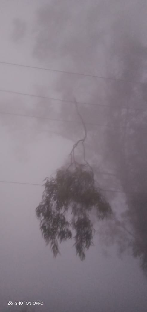 ee_mzn's tweet photo. 33 kv mimlana road line under breakdown https://t.co/WCvQ2YtKxo