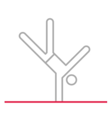 Breakdancing: Not an Olympic sport. Not a sport. Possibly not even dancing. An activity, I suppose.