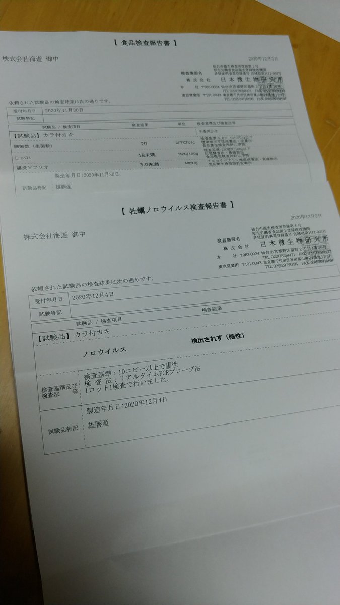 チェンソーマン 番外編より コベニちゃんの制服のスカートが長いのはお姉ちゃんのお下がりだからなの フラレナオンのイラスト