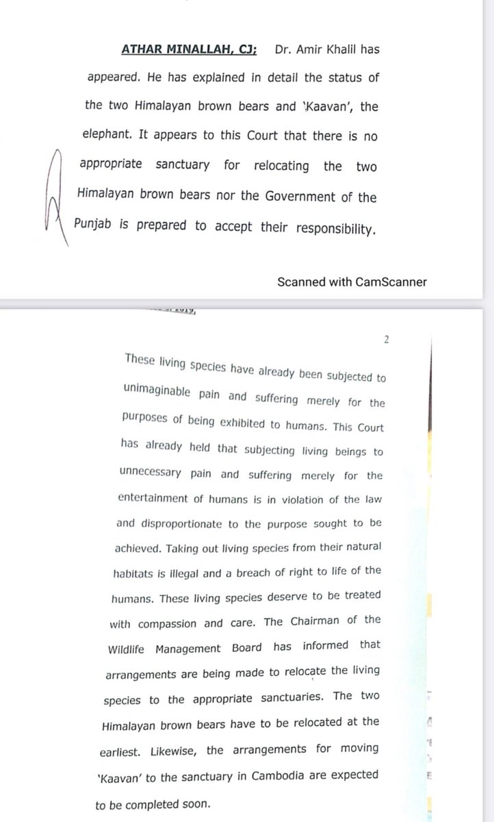 HamidMirPAK's tweet photo. Islamabad High Court ordered to relocate elephant #Kaawan and two brown Bears outside Pakistan IHC engaged Dr Amir Khalil for that purpose he transferred elephant to Combodia and came back to Pakistan for the relocation of Bears but @WildlifeBoard not cooperating with him https://t.co/Hpm6sVUffL