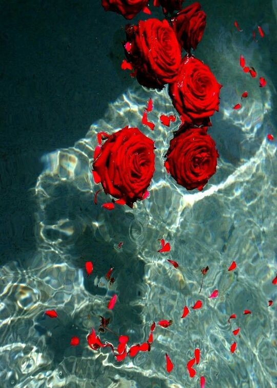 Dawoood80's tweet photo. #صباح_الخير
#أخدود_الرِّهام 

اللهم إنا نسألك بنورك الذي أشرقت له السموات والأرض وصلح به أمر الدنيا والآخرة أن تجعلنا وأهلنا و أحبتنا في حفظك وجوارك وتحت كنفك اللهم ألبسنا ثوب الصحة والعافية وارزقنا من واسع رزقك وتقبل أعمالنا بالقبول الحسن
آمين يا رب العالمين
صباح الورد.. 💓💓🥺 https://t.co/R6tFtgqKgt