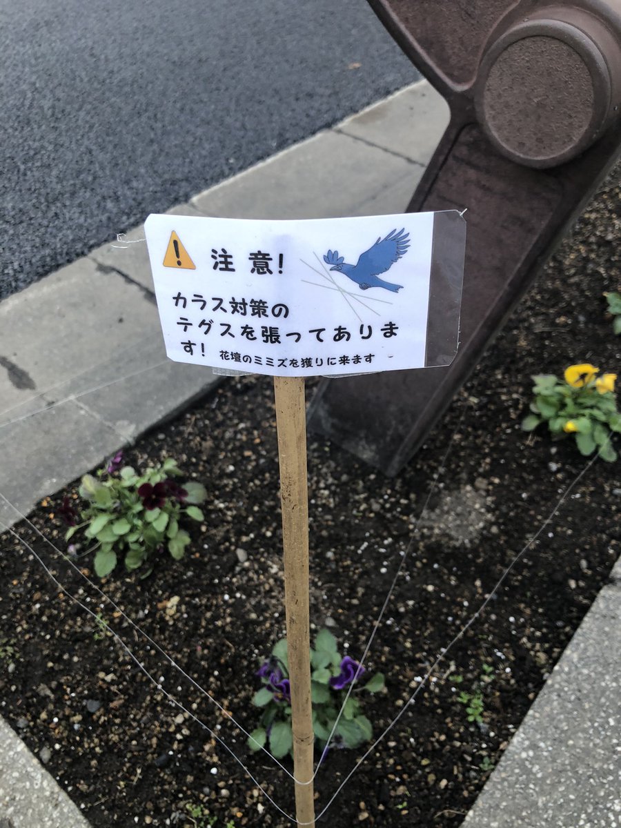 なかやま商店街