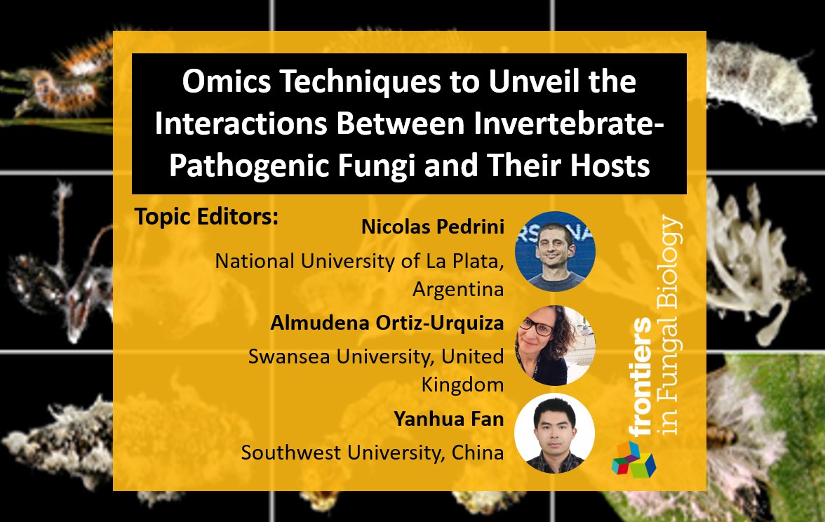#FFB_RT open for submissions @FrontFungalBio on #omics to study #invertebrate - #pathogenicfungi interactions:
fro.ntiers.in/omics-for-path…

Led by Nicolas Pedrini, Almudena Ortiz-Urquiza & Yanhua Fan

@unlp @SwanseaUni
#fungalbiology #mycology #fungi