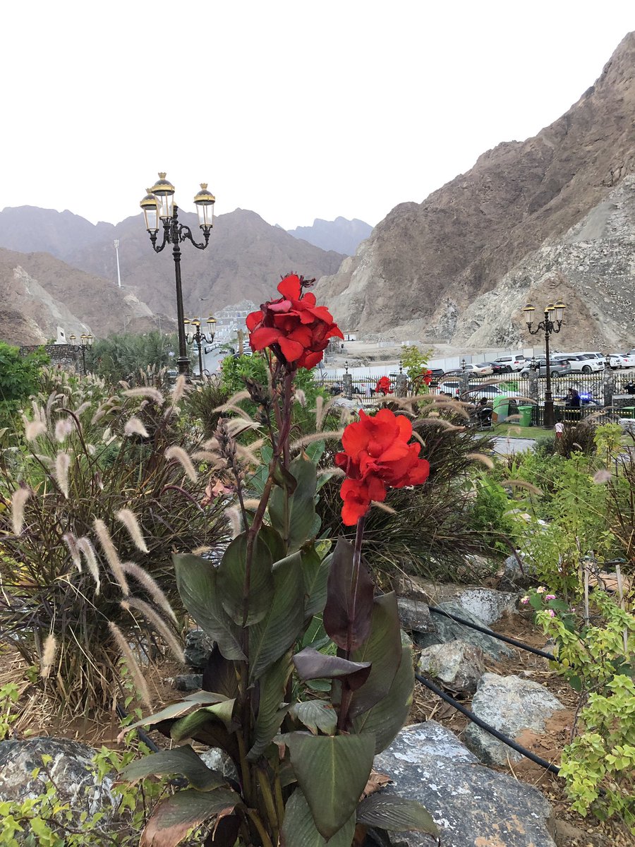 aamr6868's tweet photo. جميلة هي الحياه حين تأخذها بمبدأ أحب للغير كما أحب لنفسي https://t.co/JNVipGRQvJ