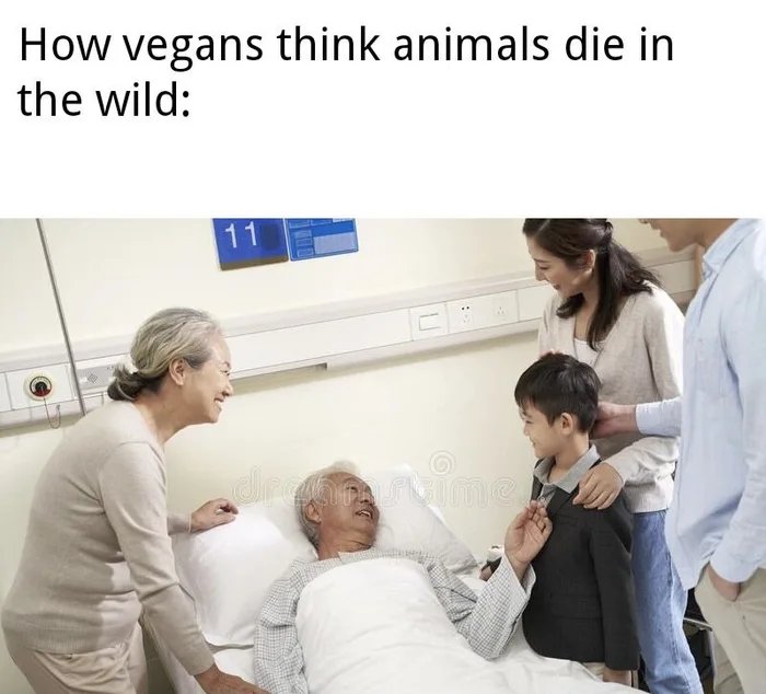 Sami (@samimoments1) on Twitter photo 