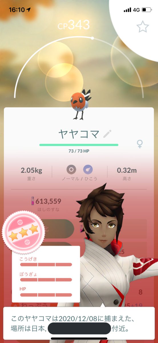 くま タスクからヤヤコマの個体値100だ ポケモンgo ヤヤコマ 個体値100