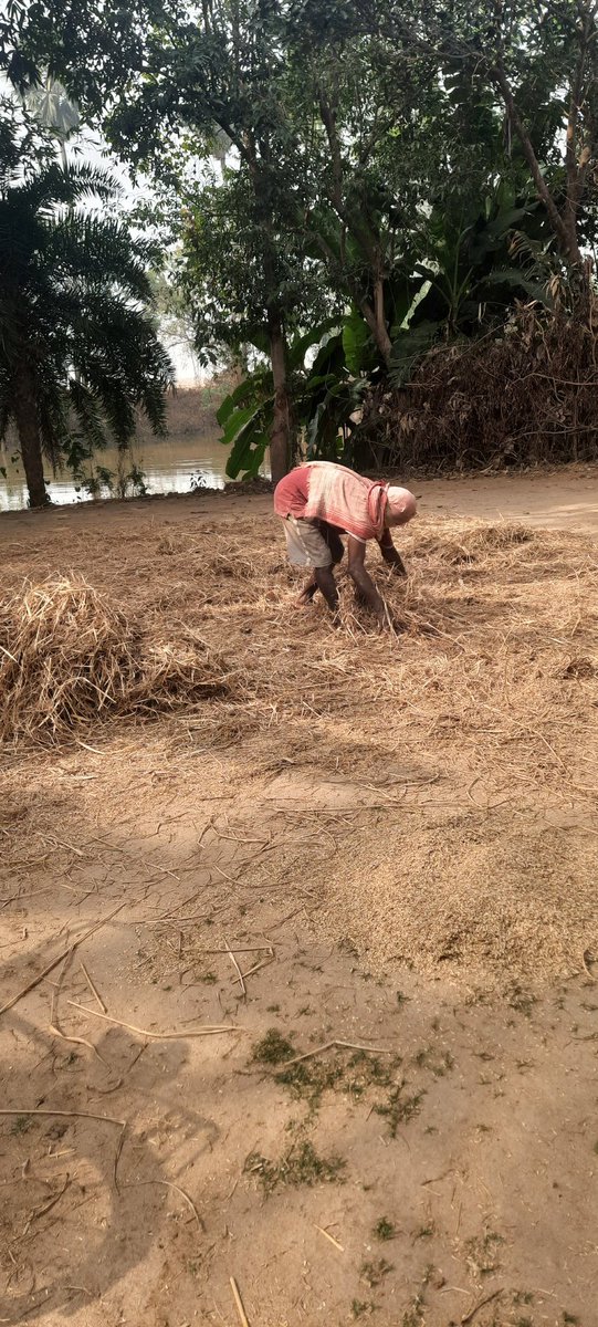 kousik20's tweet photo. Regular Day in Bengali agricultural sector.
Sorry to say.. but in Bengal.. This strike for farmers is nothing but forceful shut down by leftists.
Ordinary farmer has nothing to do with this issue.. @tathagata2 @swapan55 @rajubanerjeebjp @anirbanganguly @ujjwalpareek @KishoreKar https://t.co/1gEQZoNsxj